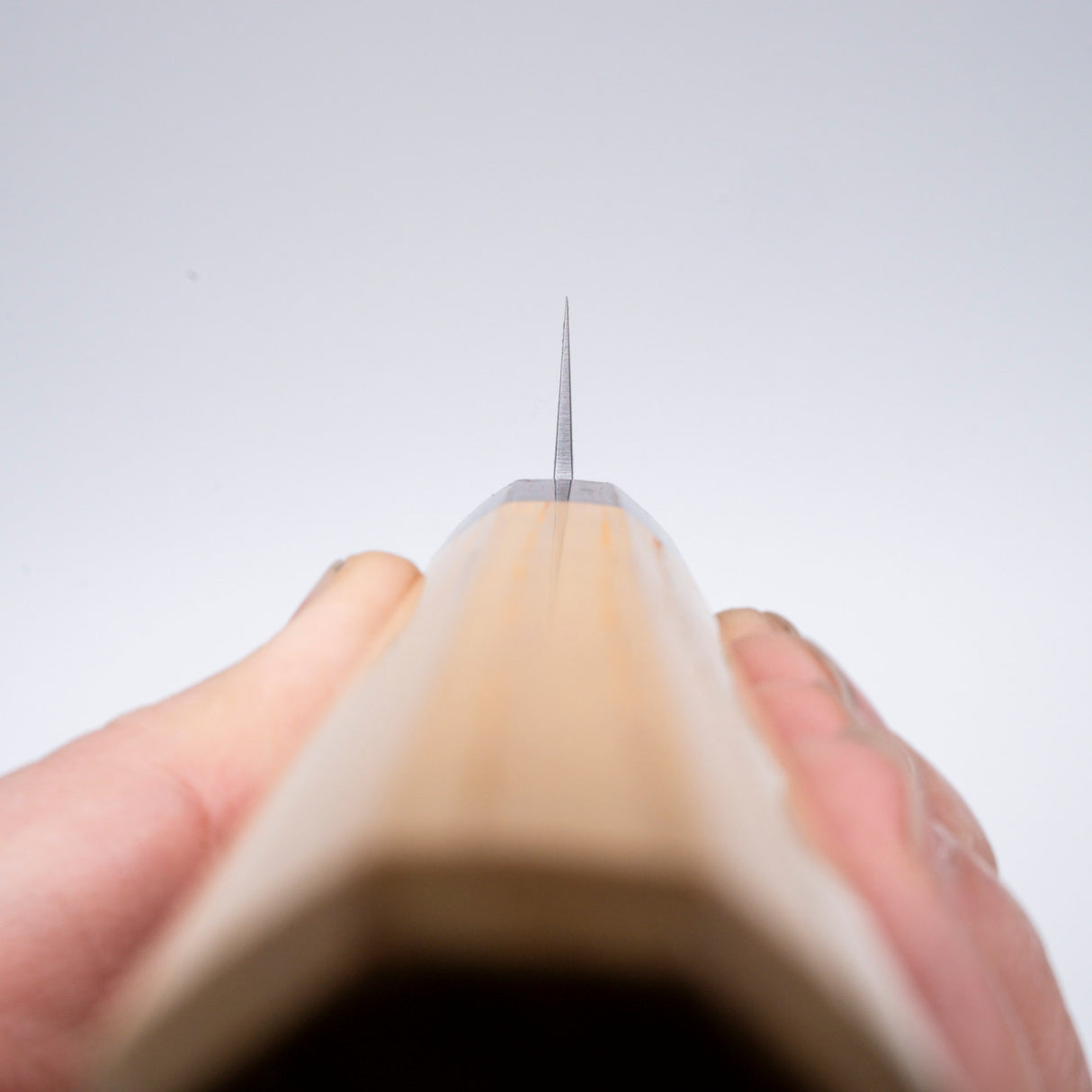 Sakai Takayuki VG10 Sujihiki 240mm (9.4") 33 Layer Hammered Damascus WA Handle