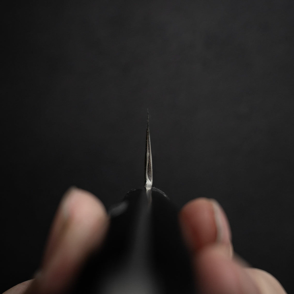 Teruyasu Fujiwara Denka 柳刃 240mm 青紙 Super 黑打