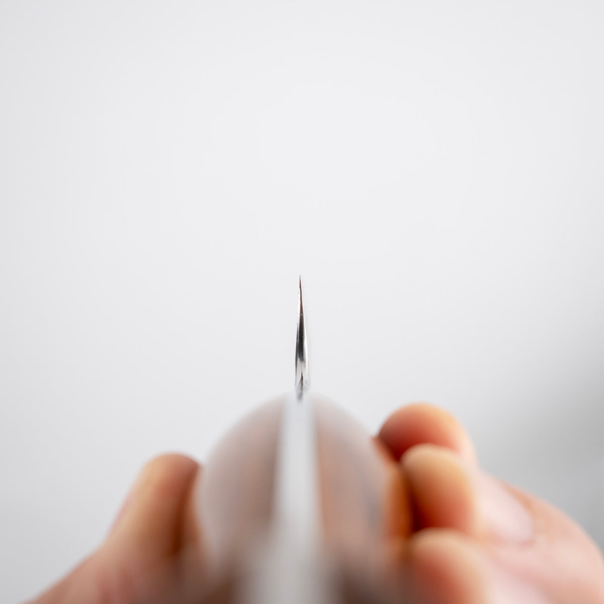 Nigara SG2 Tsuchime Kurouchi K-tip Sujihiki 255mm 西部鐵木