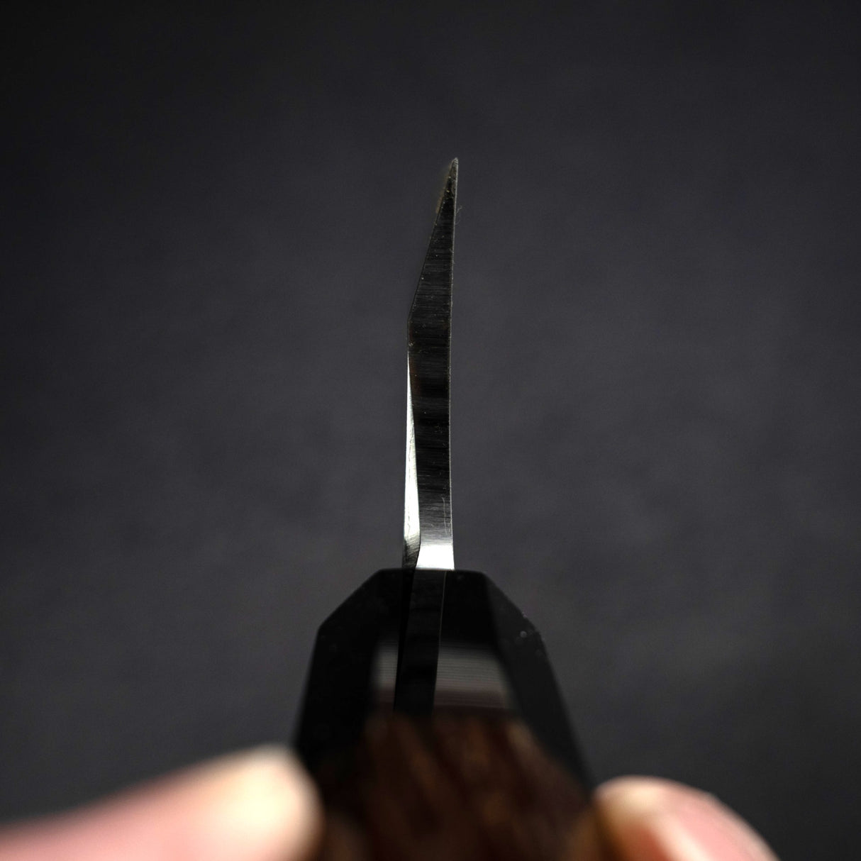 初心 x 直人作 Shirasagi White 2 出刃 165mm