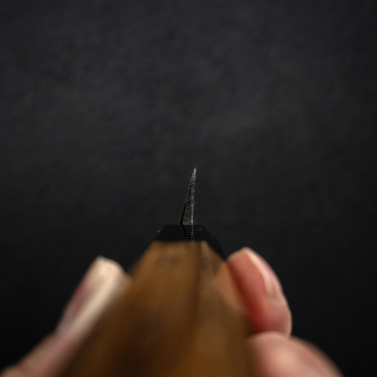 初心 x 直人作 白鷺 Blue 2 黑打柳刃 240mm