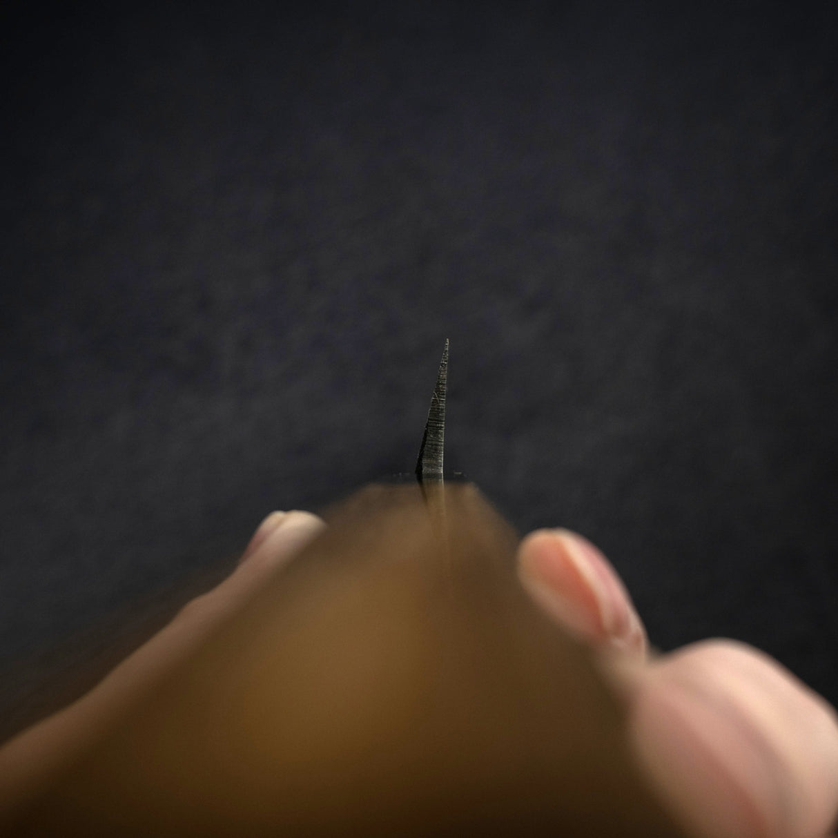 初心 x 直人作 白鷺 Blue 2 黑打柳刃 300mm