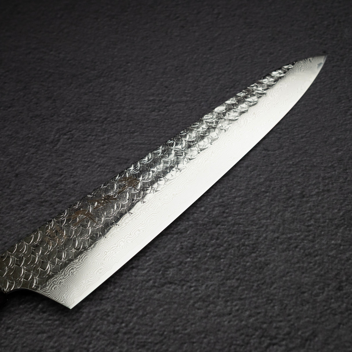 Sakai Takayuki SPG2 Tsuchime Damascus Gyuto 210mm