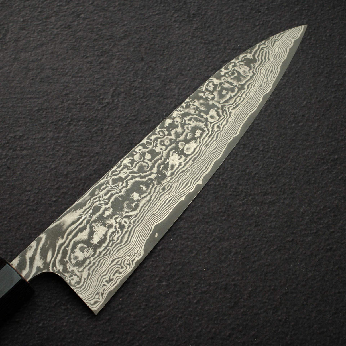Takeshi Saji SG2 黑大馬士革牛刀 210mm 紫檀木手柄