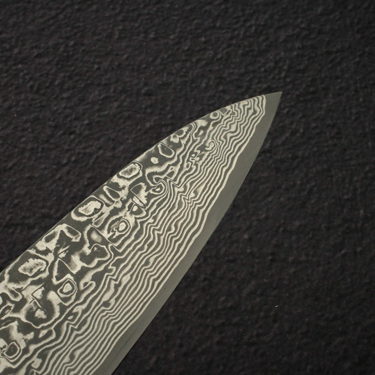 Takeshi Saji SG2 黑大馬士革牛刀 240mm 紫檀木手柄