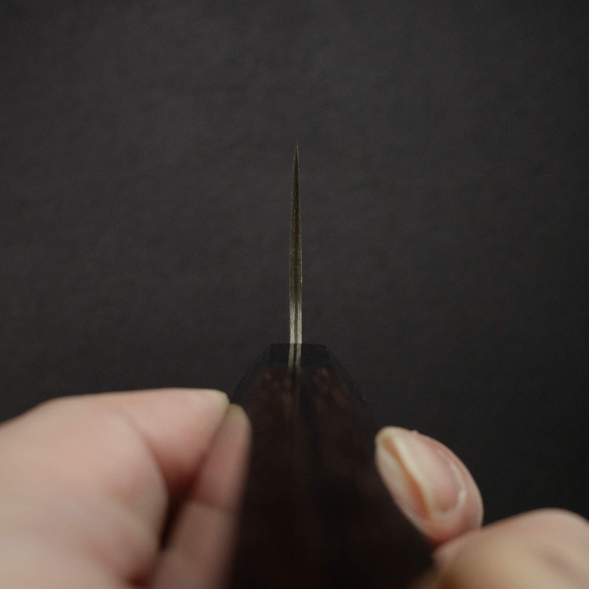 Takeshi Saji SG2 黑大馬士革牛刀 240mm 紫檀木手柄
