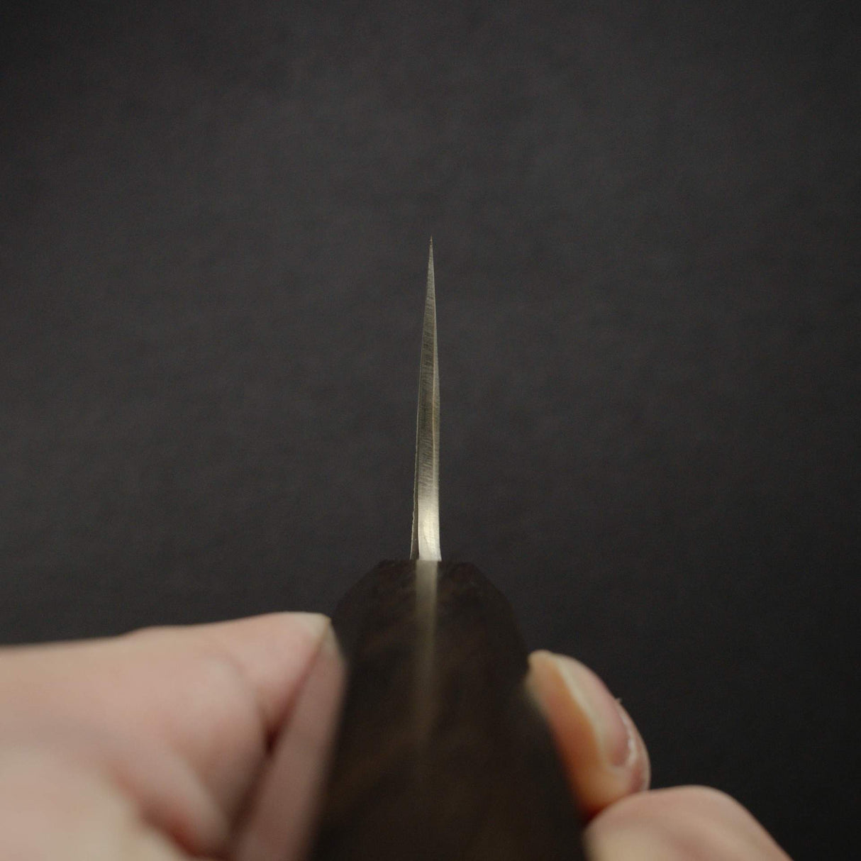 初心 黑風 白鋼二號 牛刀 210mm 不鏽鋼夾層,高身版型