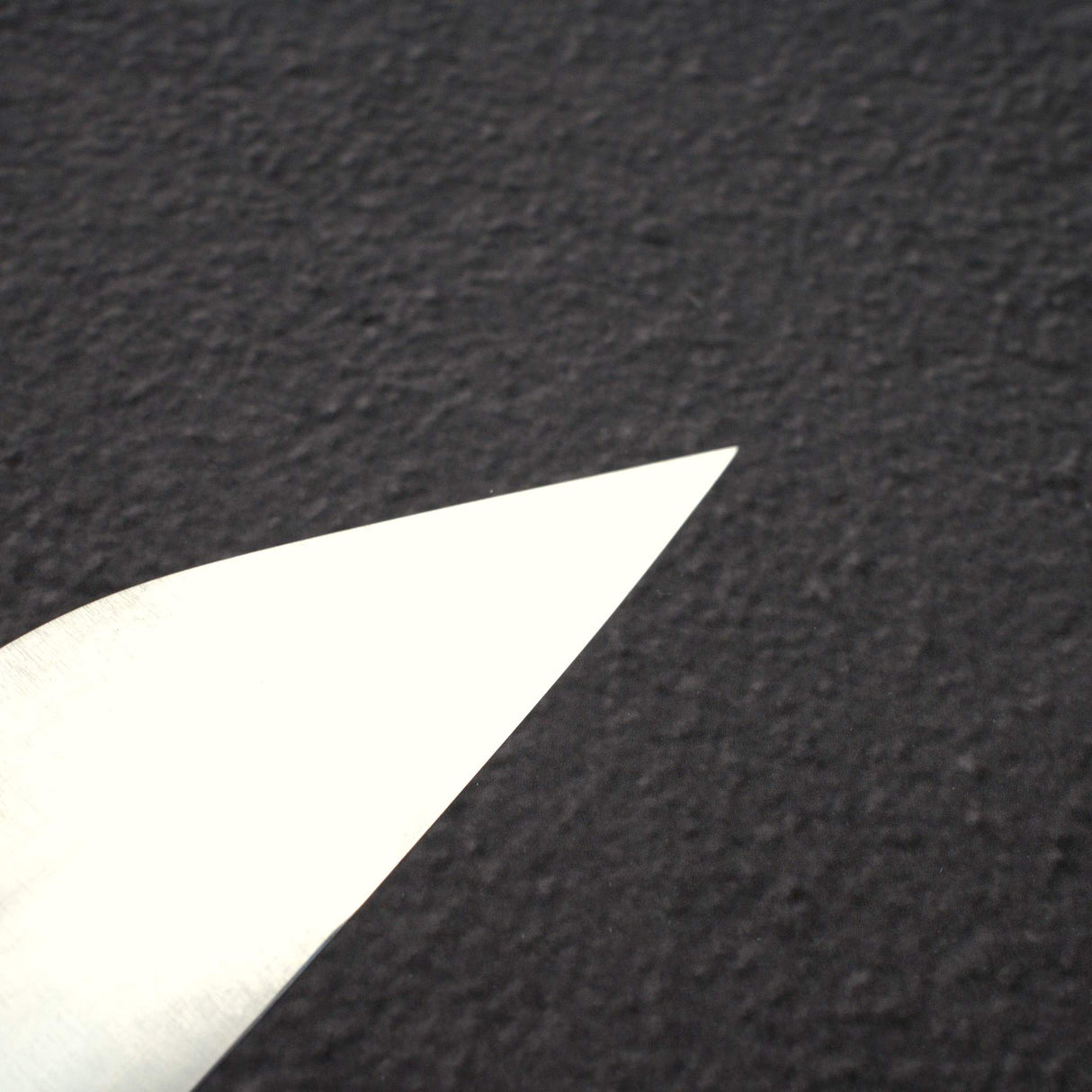 Shibata Koutetsu Chromax K-Tip Gyuto 240mm