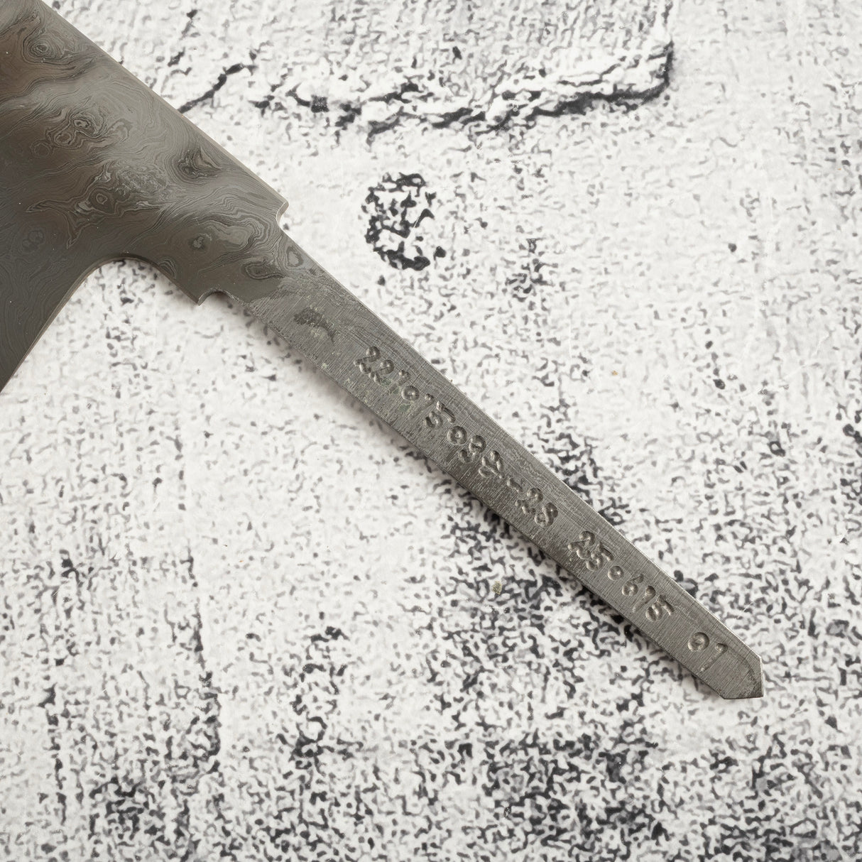 Exotic: Shoichi Hashimoto (橋本庄市) Chihaya (ちはやふる・千早) Blue / White Coreless Gyuto 210mm