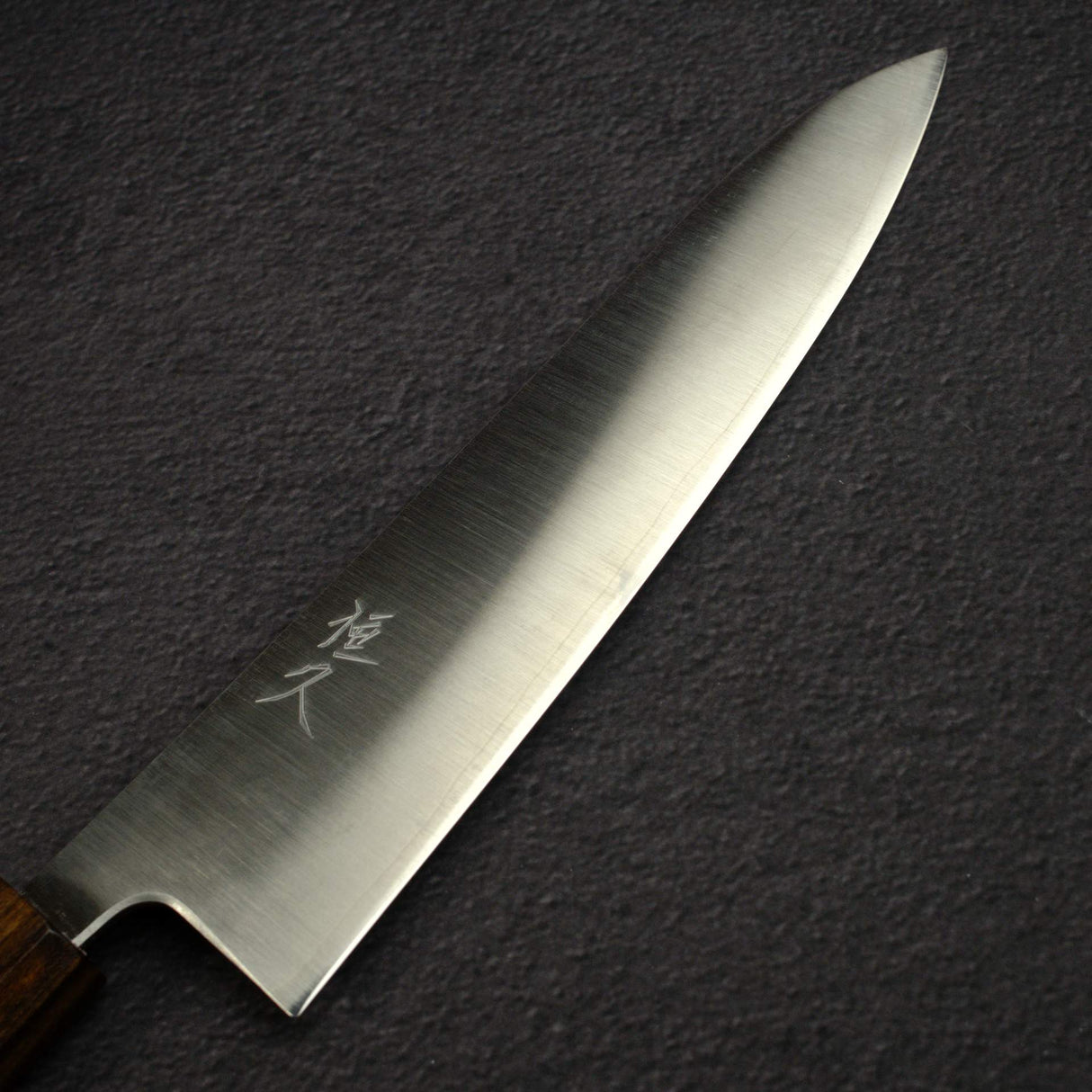 Tsunehisa Ginsan Migaki Gyuto 210mm, Black Chacate Handle