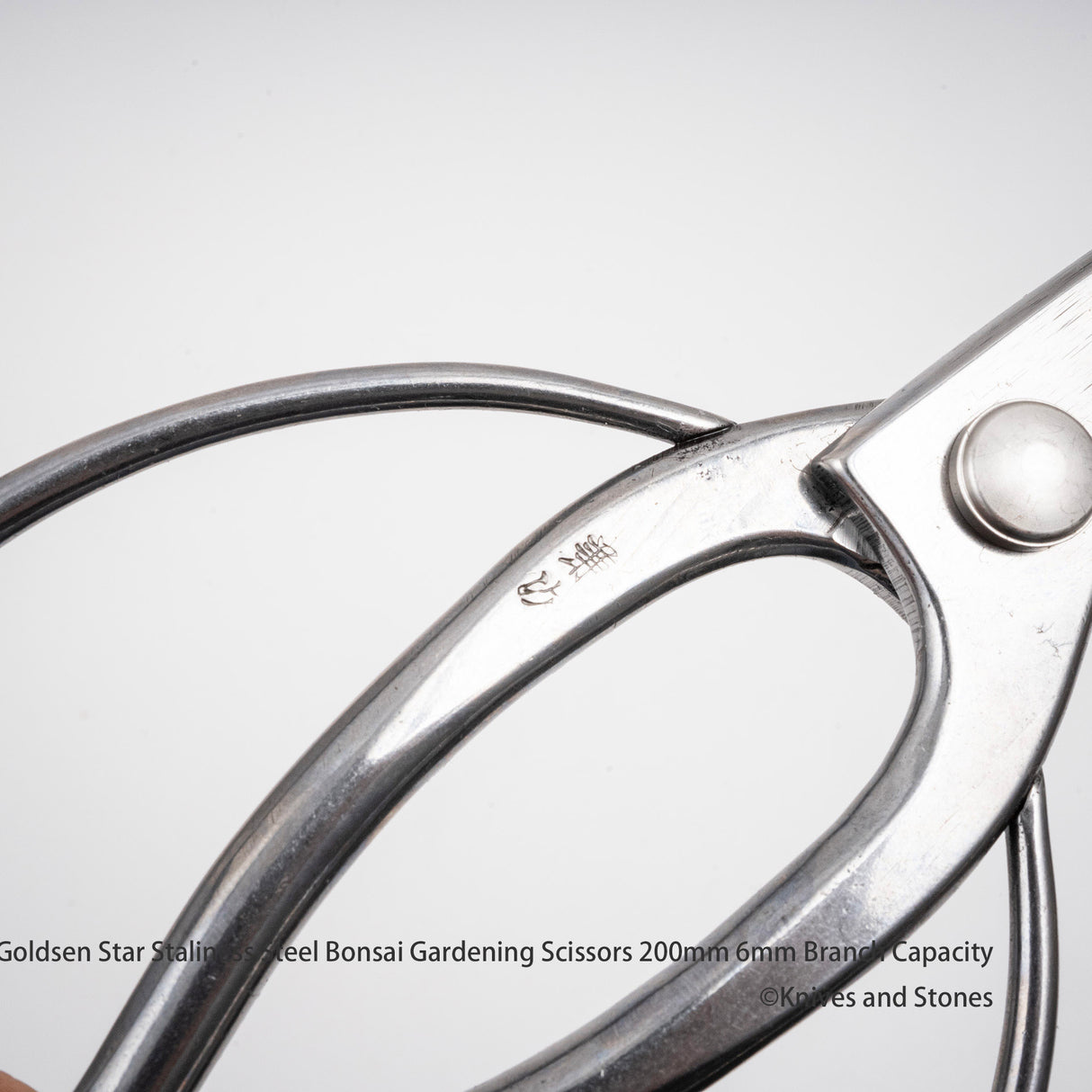 金星「Kanetsugu」不鏽鋼盆景剪刀(Kinboshi 出品)