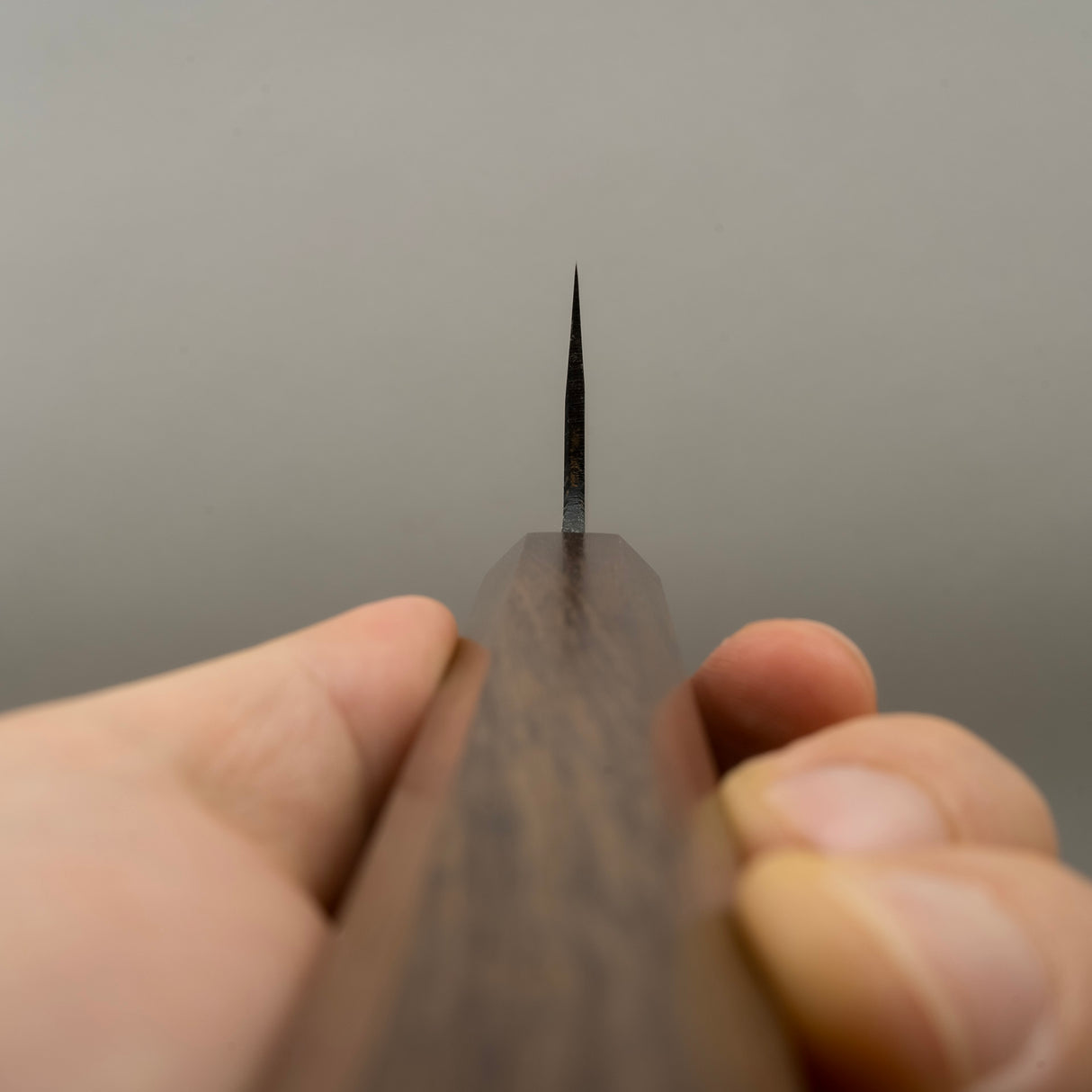 初心青鷺 藍色 2 黑內三德 180mm 黑色 Chacate