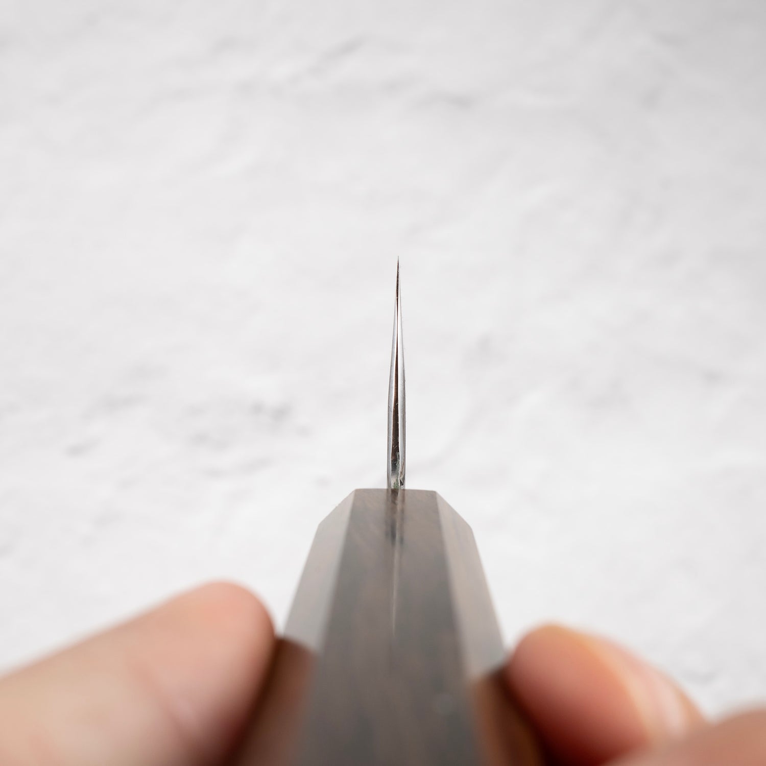 Hatsukokoro Ginso Ginsan Gyuto 210mm