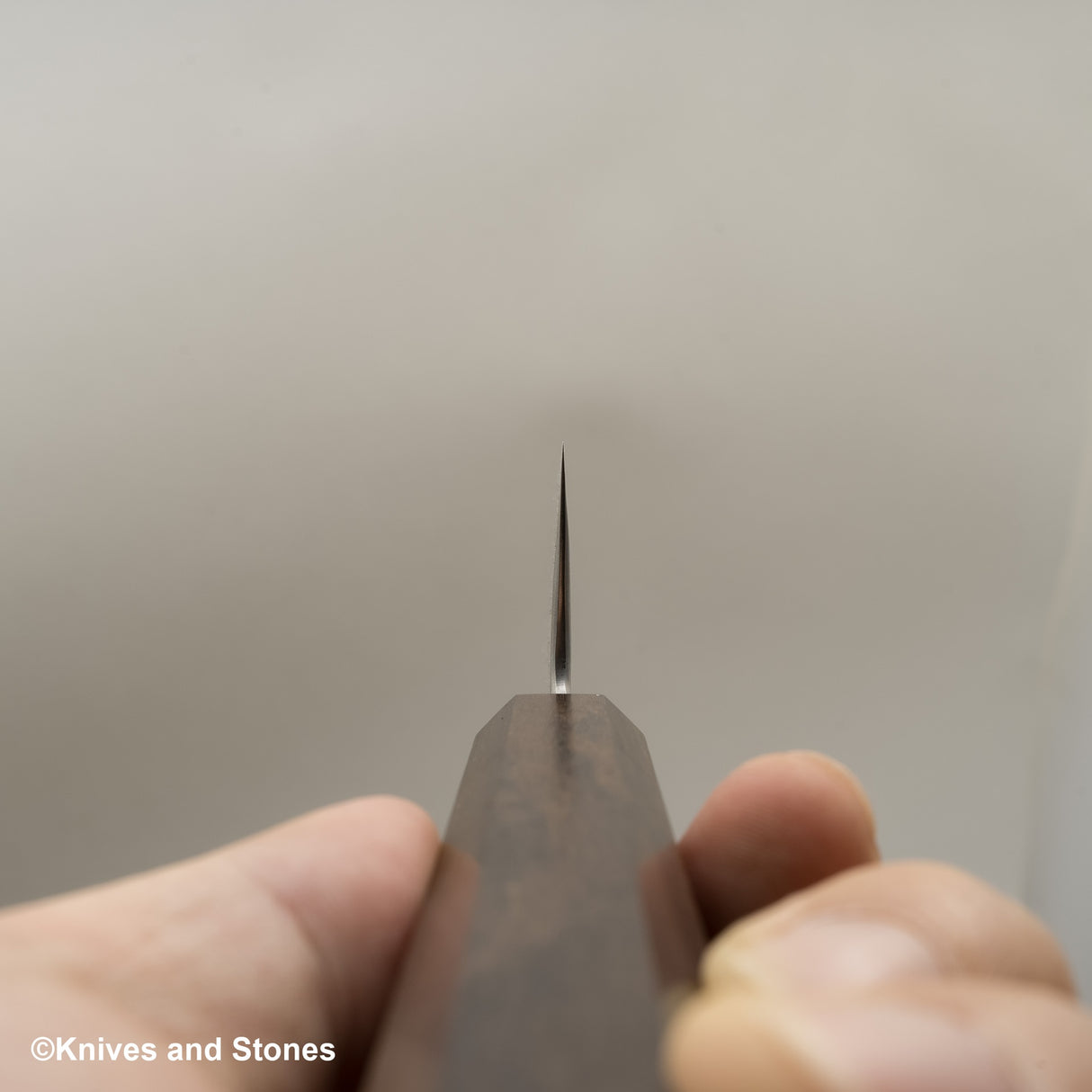 Hatsukokoro Ginso Ginsan Nickel Damascus K-tip Gyuto 210mm