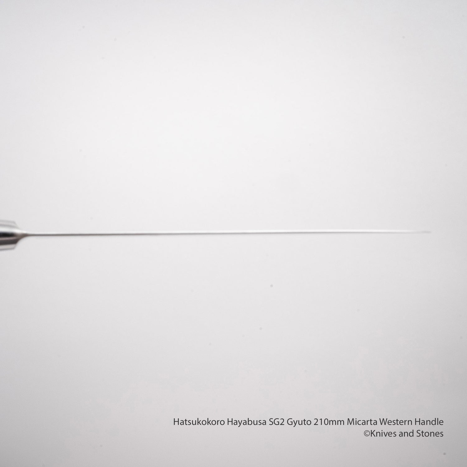 Hatsukokoro Hayabusa SG2 Gyuto 210mm 米卡塔西式手柄