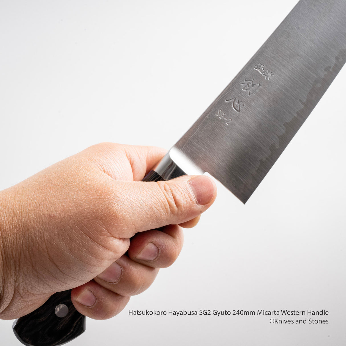 Hatsukokoro Hayabusa SG2 Gyuto 240mm Micarta Western Handle