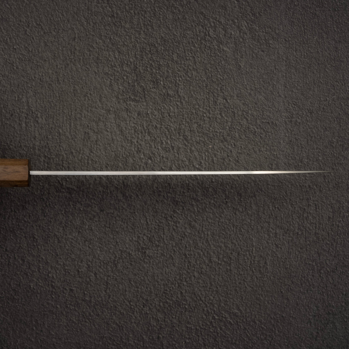 初心隼 SG2 Migaki Gyuto 210mm