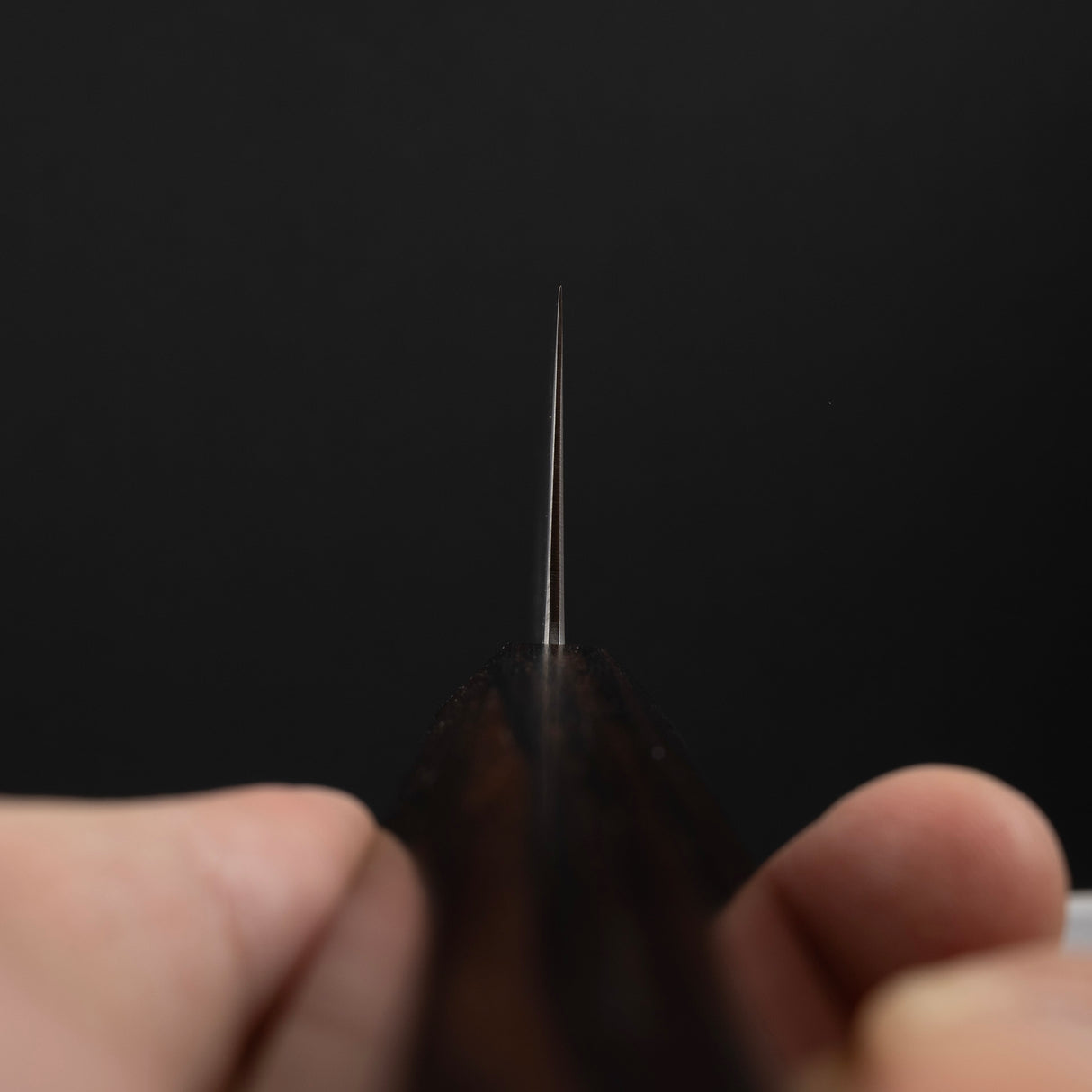 Hatsukokoro Hayabusa SG2 Migaki K-tip Gyuto 240mm