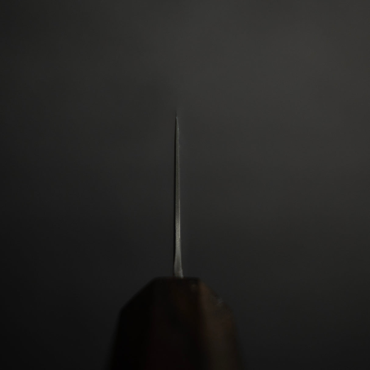 初心光 SLD 三德 170mm