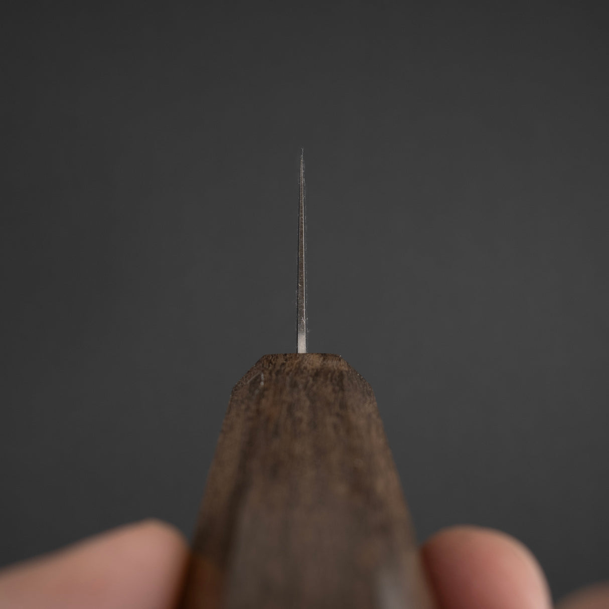 Hatsukokoro Hikari SLD Gyuto 195mm Black Chacate