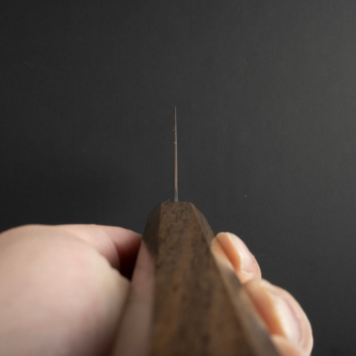 初心光 SLD Gyuto 195mm 黑色 Chacate