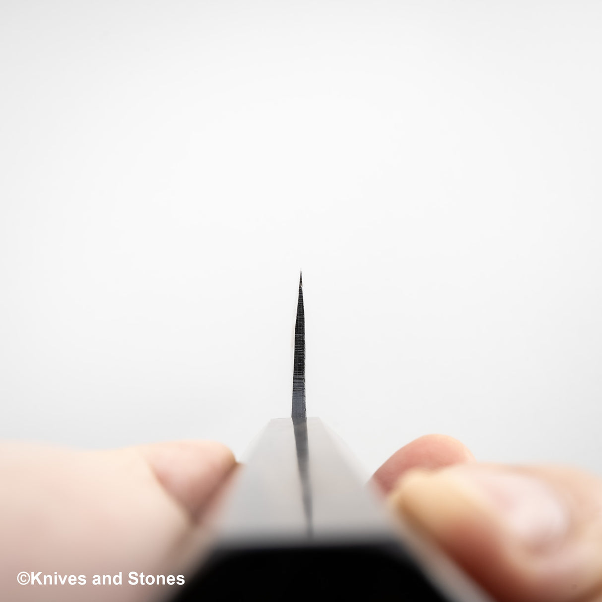 初心黑金藍 2 黑內牛斗 210mm 黑色 Chacate