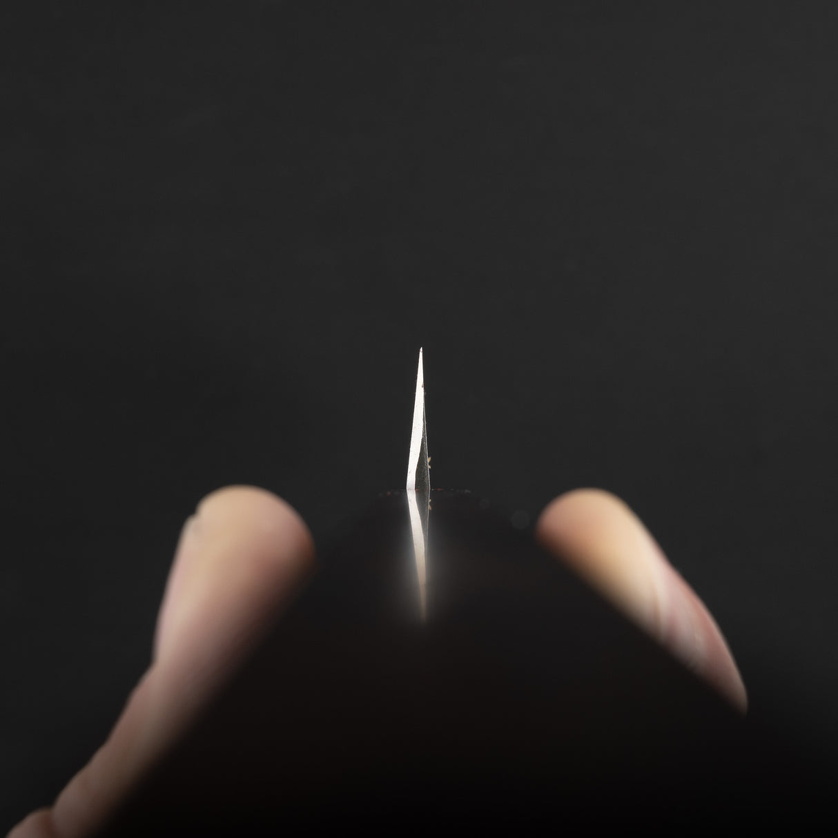 Hatsukokoro x Myojin Shirasagi Ginsan K-tip Yanagiba 300mm