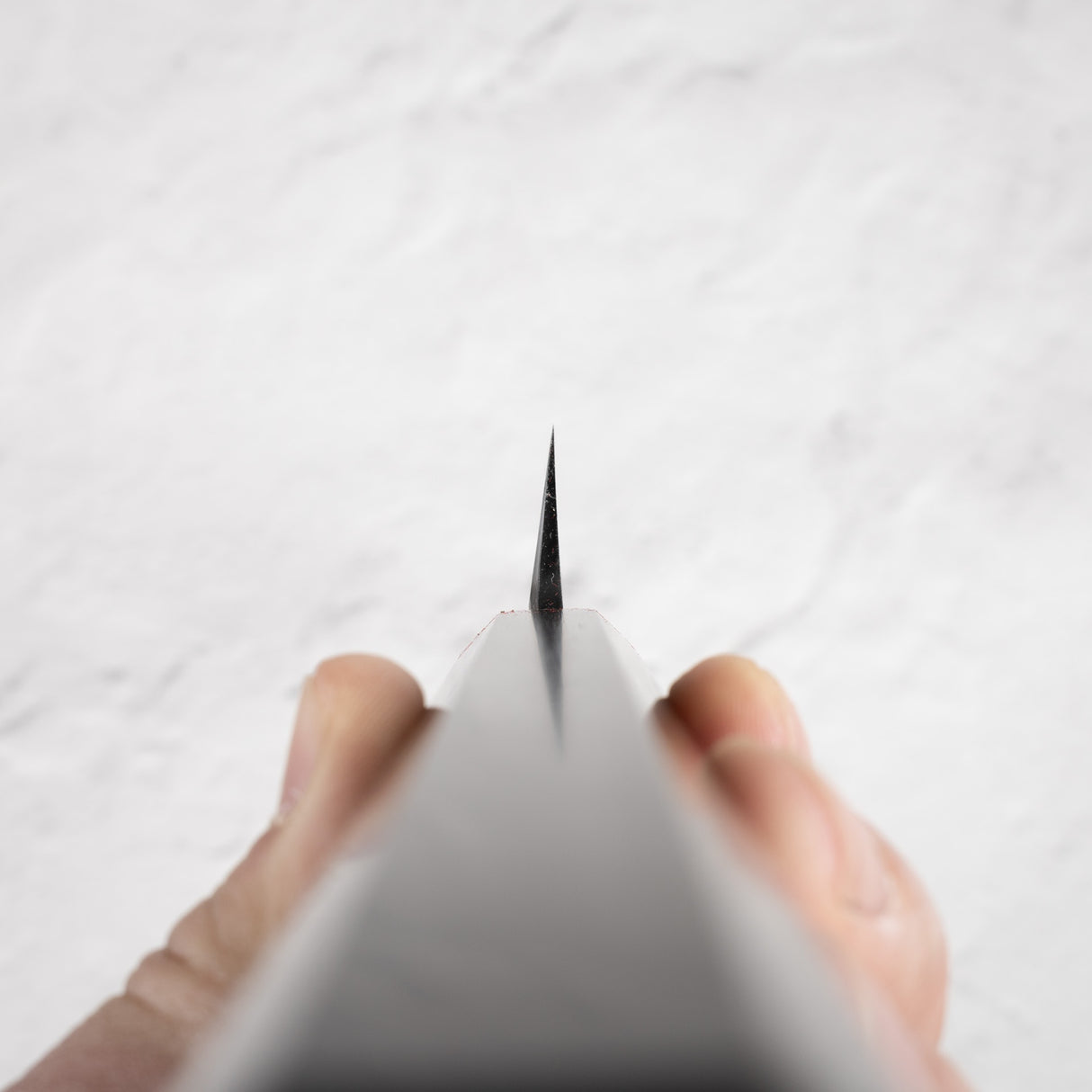 初心×明神白鷺白 2 崎丸 300mm