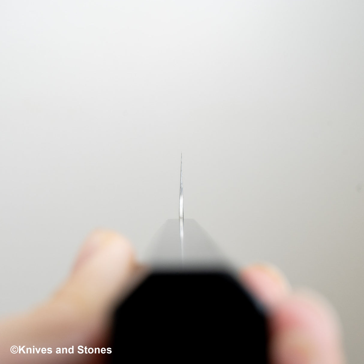 初心 FAXR2 Migaki Gyuto 210mm 烏木色