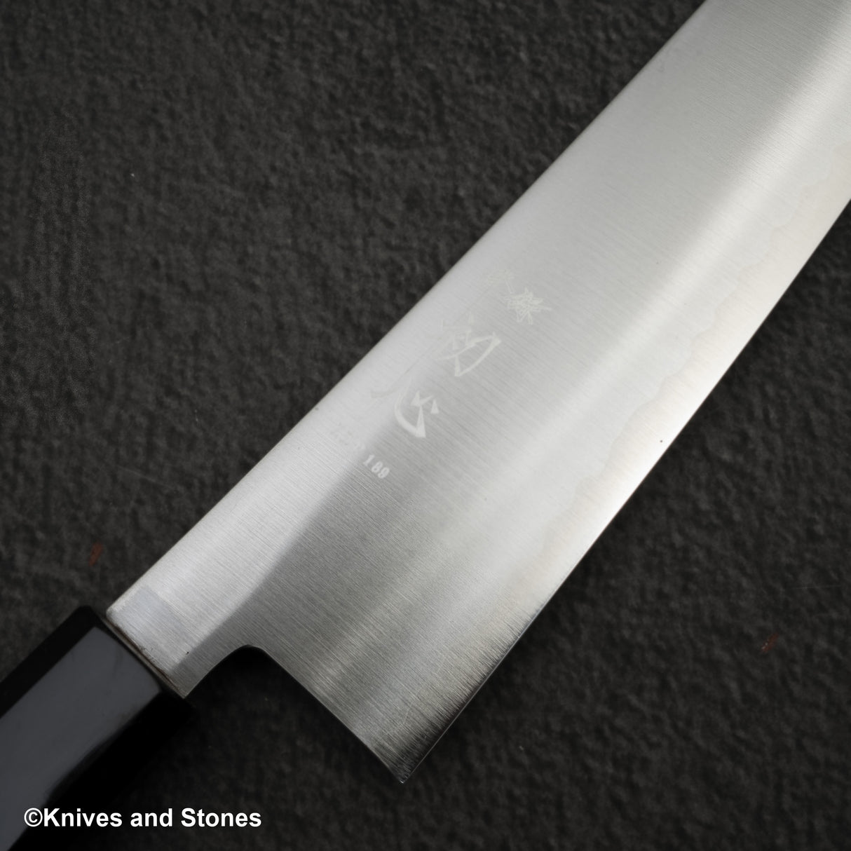 初心隼 ZDP189 Migaki Gyuto 210mm