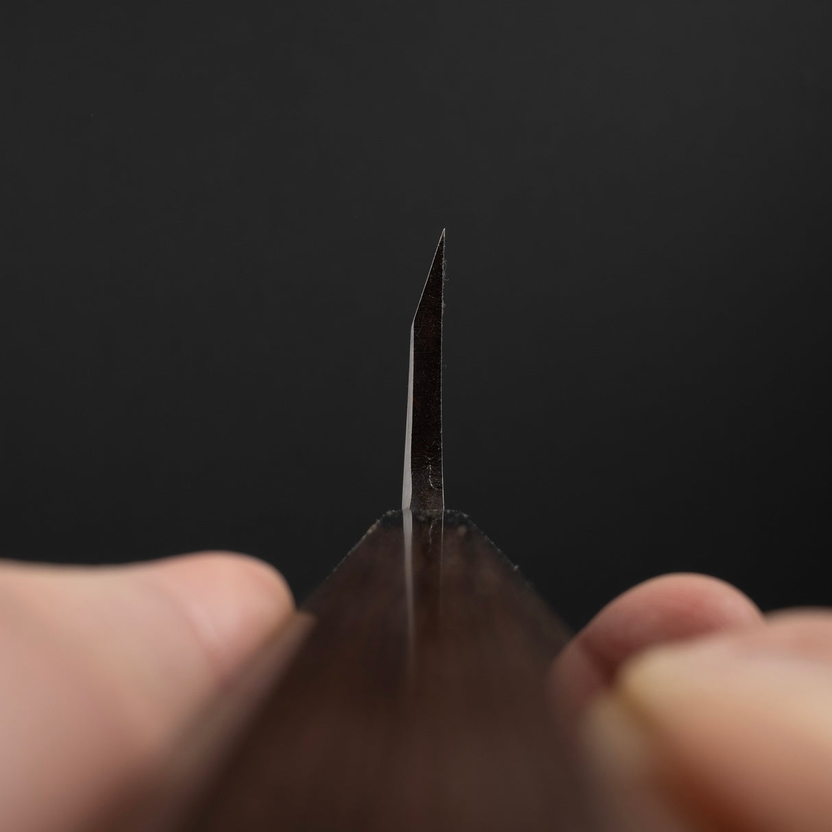 初心×明神白鷺銀山出羽 180mm