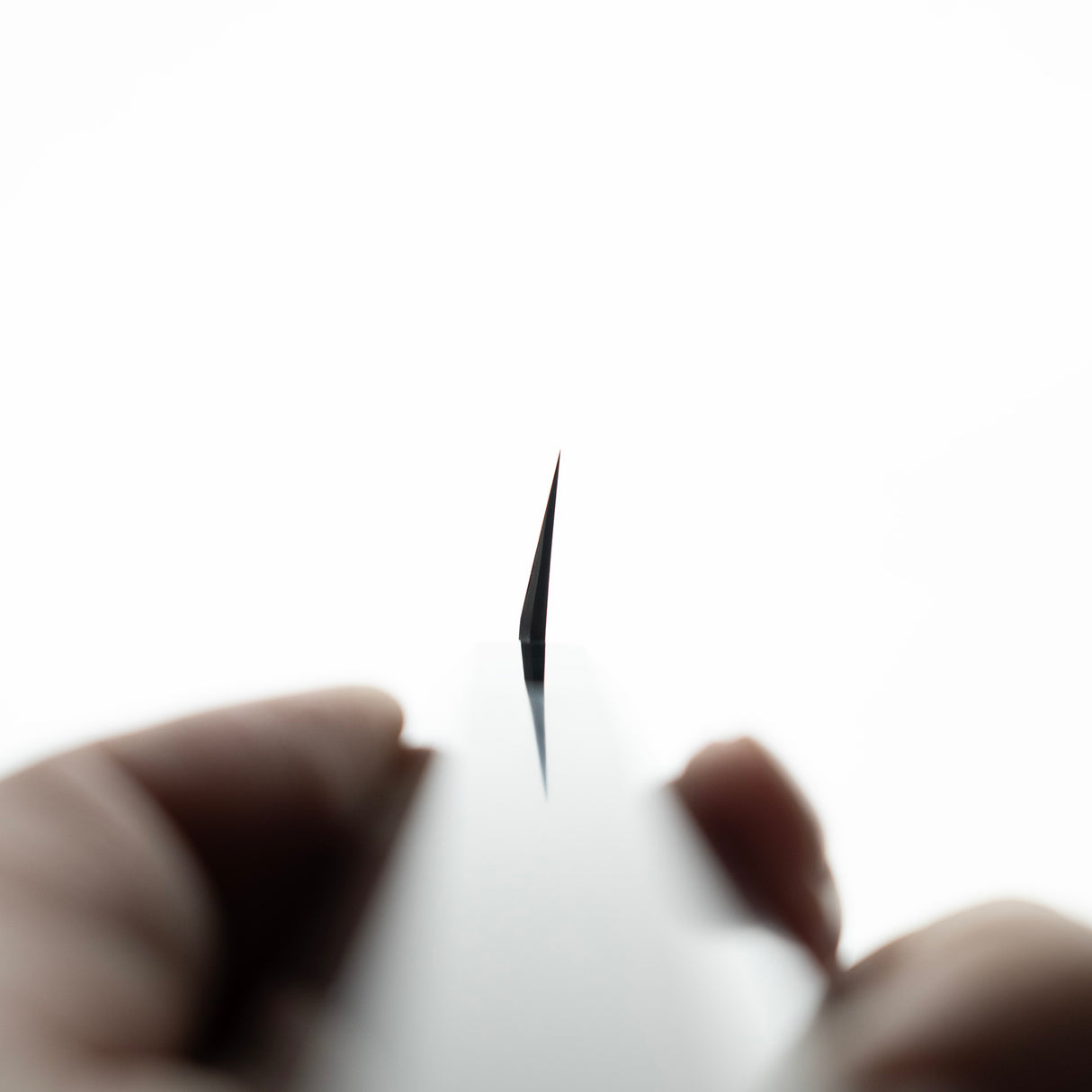 Hatsukokoro x Shimizu Ginsan K-tip Yanagiba 270mm