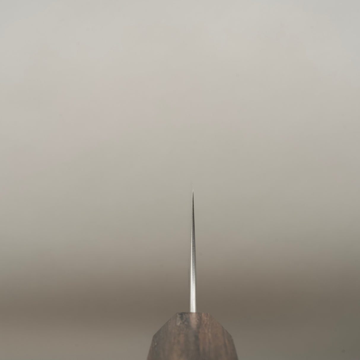 初心隼青神 Super Migaki Gyuto 240mm 黑色 Chacate