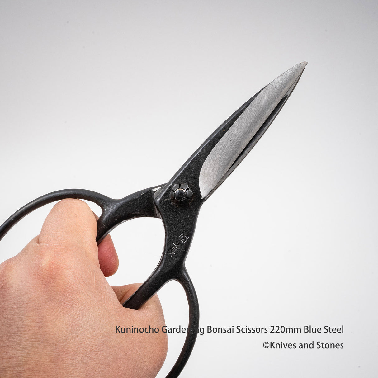 Golden Star "Kuninocho" Gardening Scissors by Kinboshi