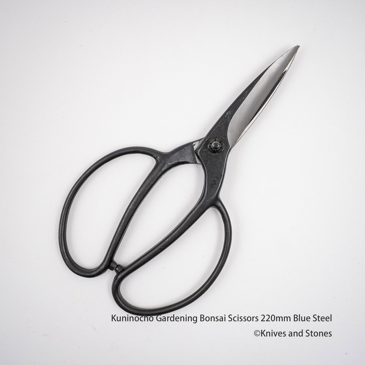 Golden Star "Kuninocho" Gardening Scissors by Kinboshi