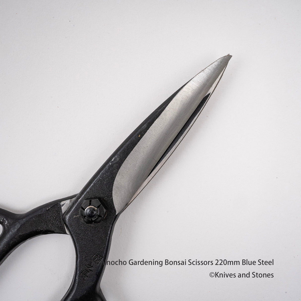 Golden Star "Kuninocho" Gardening Scissors by Kinboshi