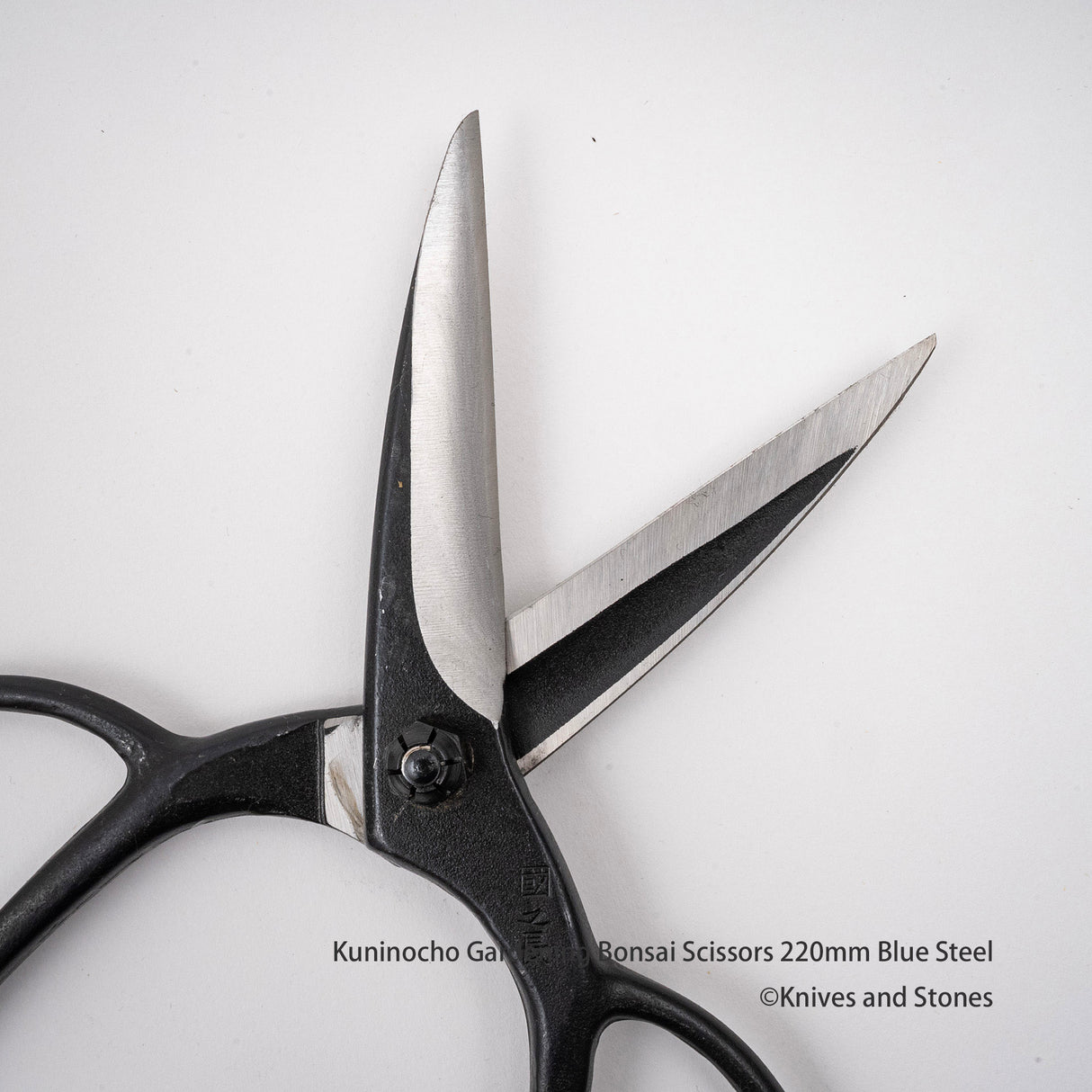 Golden Star "Kuninocho" Gardening Scissors by Kinboshi