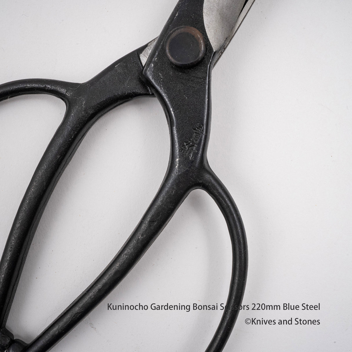 Golden Star "Kuninocho" Gardening Scissors by Kinboshi