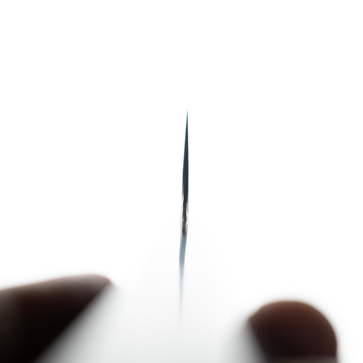 真崎作 White 2 Migaki Gyuto 210mm