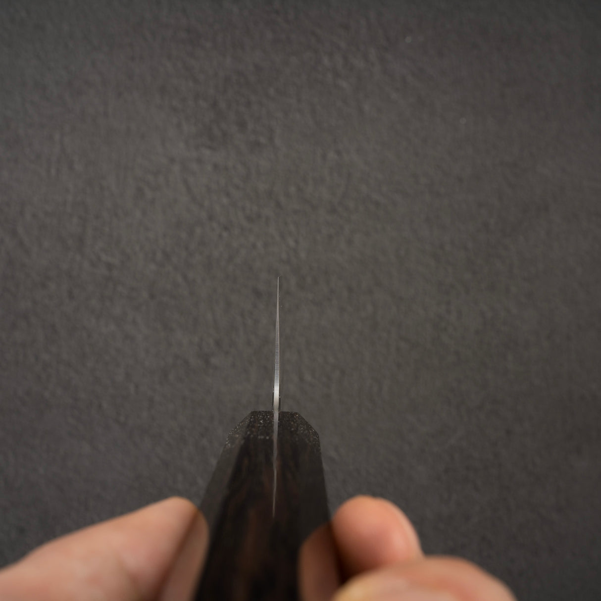 Myojin Cobalt Special COSP Bunka 180mm 烏木手柄