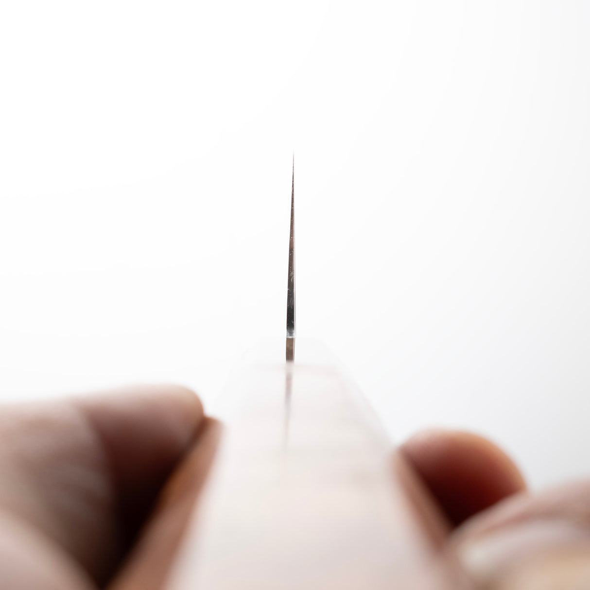 Myojin Riki Seisakusho SG2 Gyuto 240mm Amboyna Handle