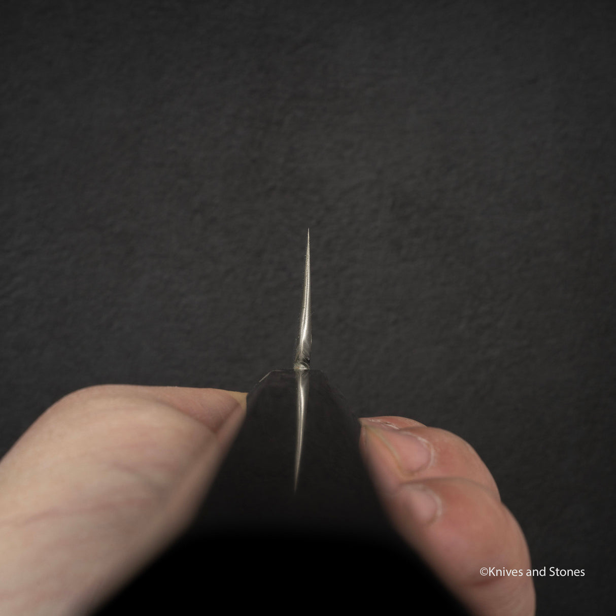 Satoshi Nakakawa VG10 左手 Kamagata Usuba 210mm 鏡面拋光