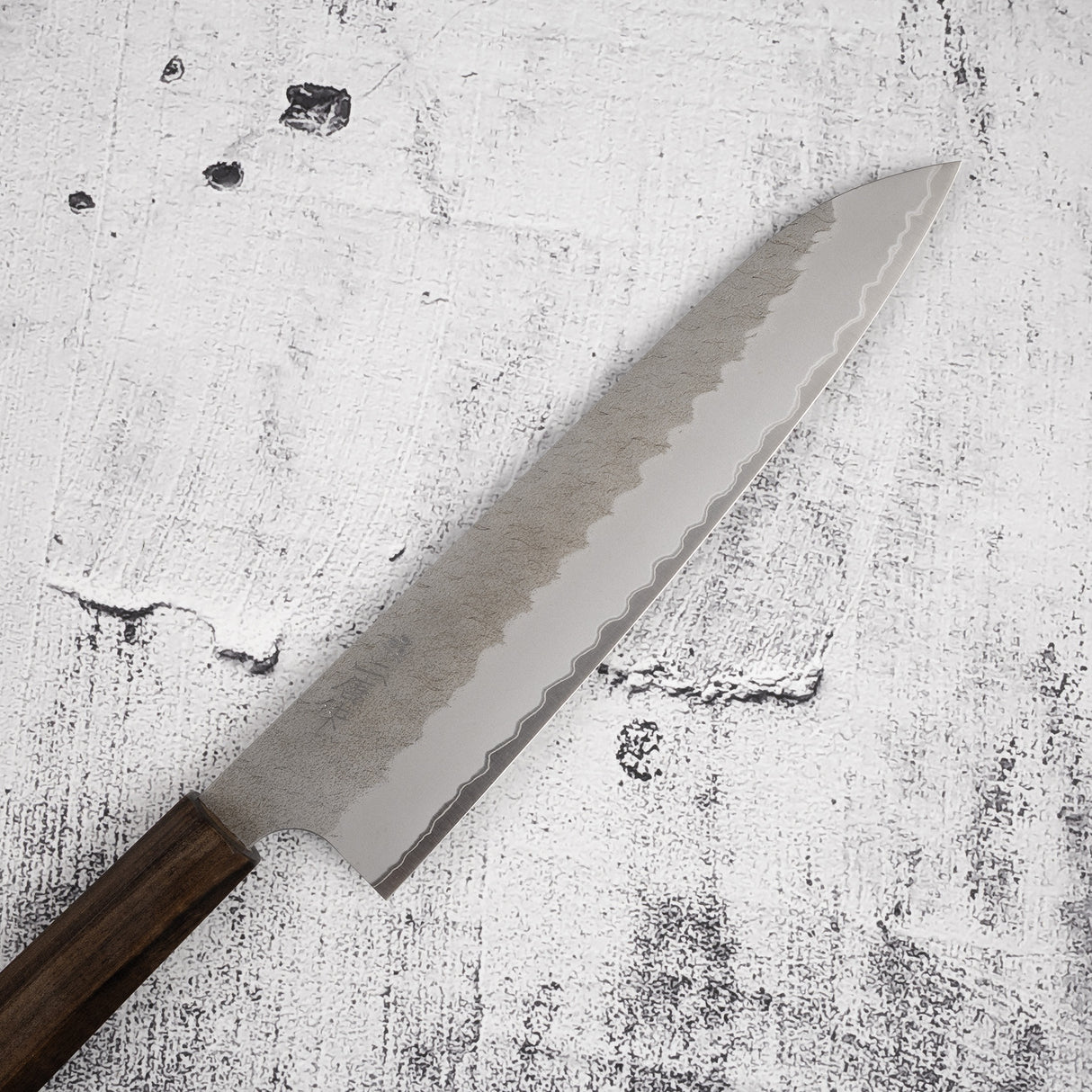 Nigara Aogami (藍色) Super Gyuto 240mm Tsuchime Black Chacate