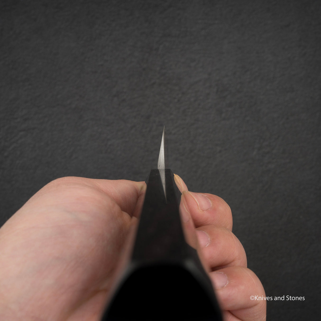 Nigara暗門黑染藍2大馬士革崎丸章引柳葉300