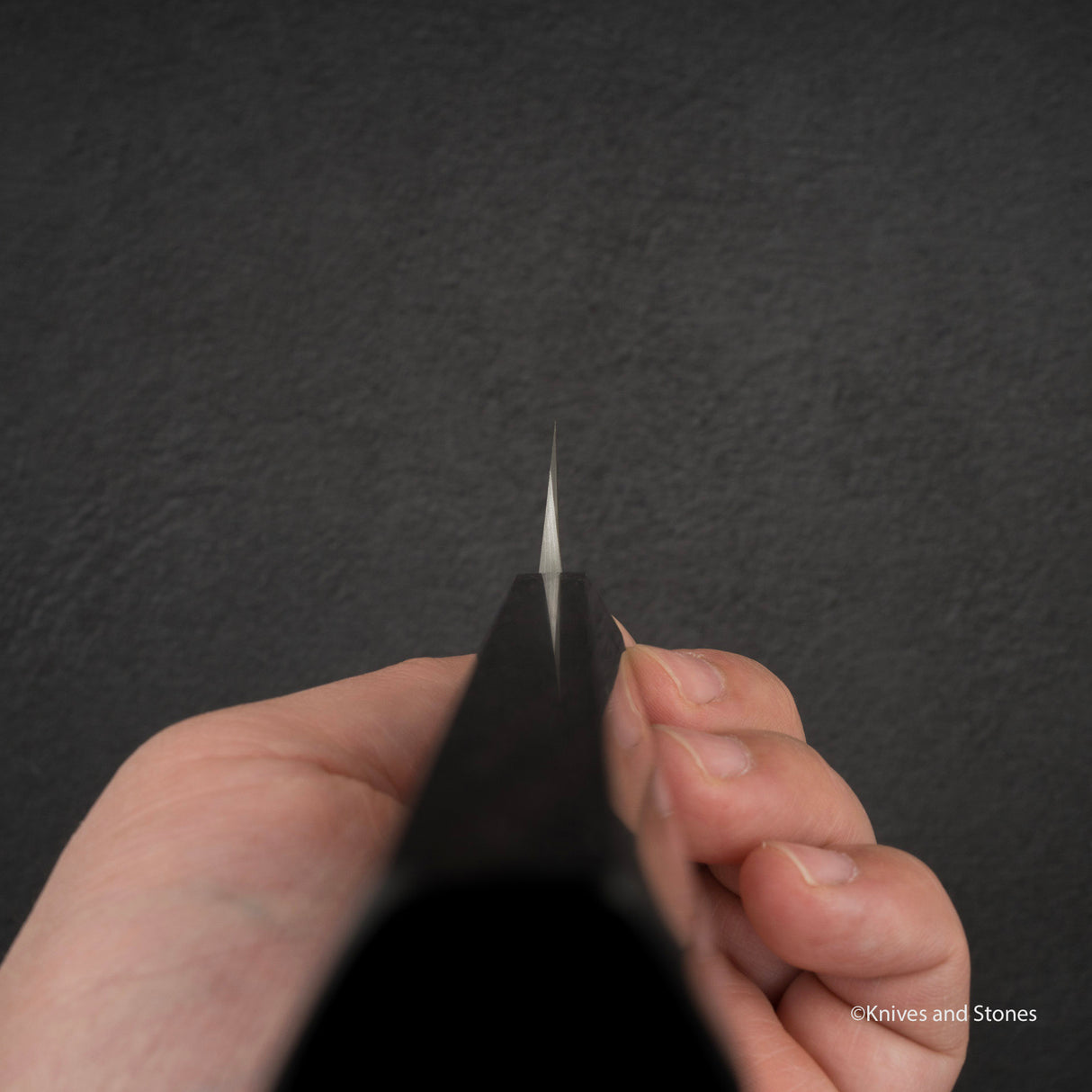 Nigara Anmon 黑染藍 2 大馬士革柳葉 300mm