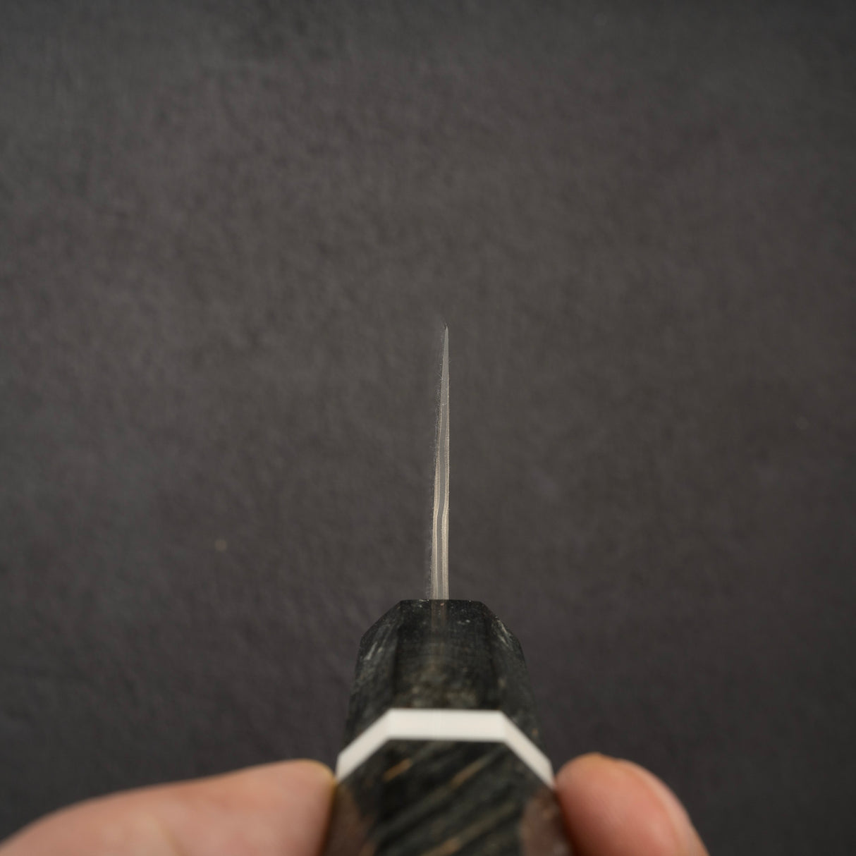 二唐暗紋SG2大馬士革切付牛刀 210mm