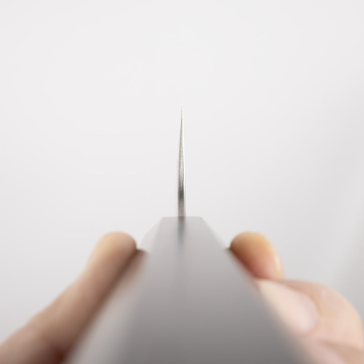 Nigara SG2 Tsuchime Matt Migaki K-tip Gyuto 210mm 烏木