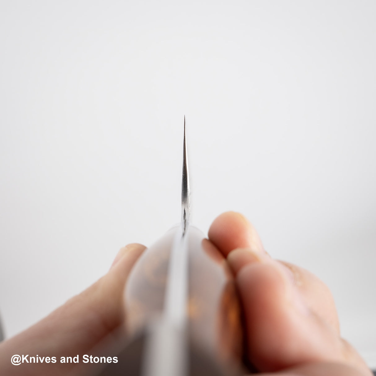 Nigara SG2 Tsuchime Matt Migaki K-tip Gyuto 210mm Western Ironwood