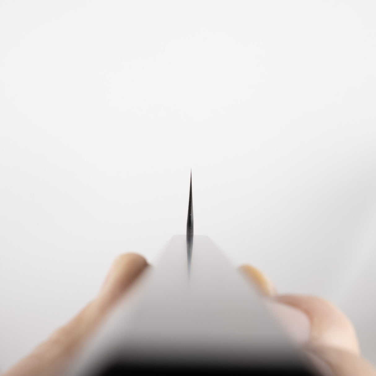 Nigara SG2 土目黑內崎丸筋引 300mm 烏木