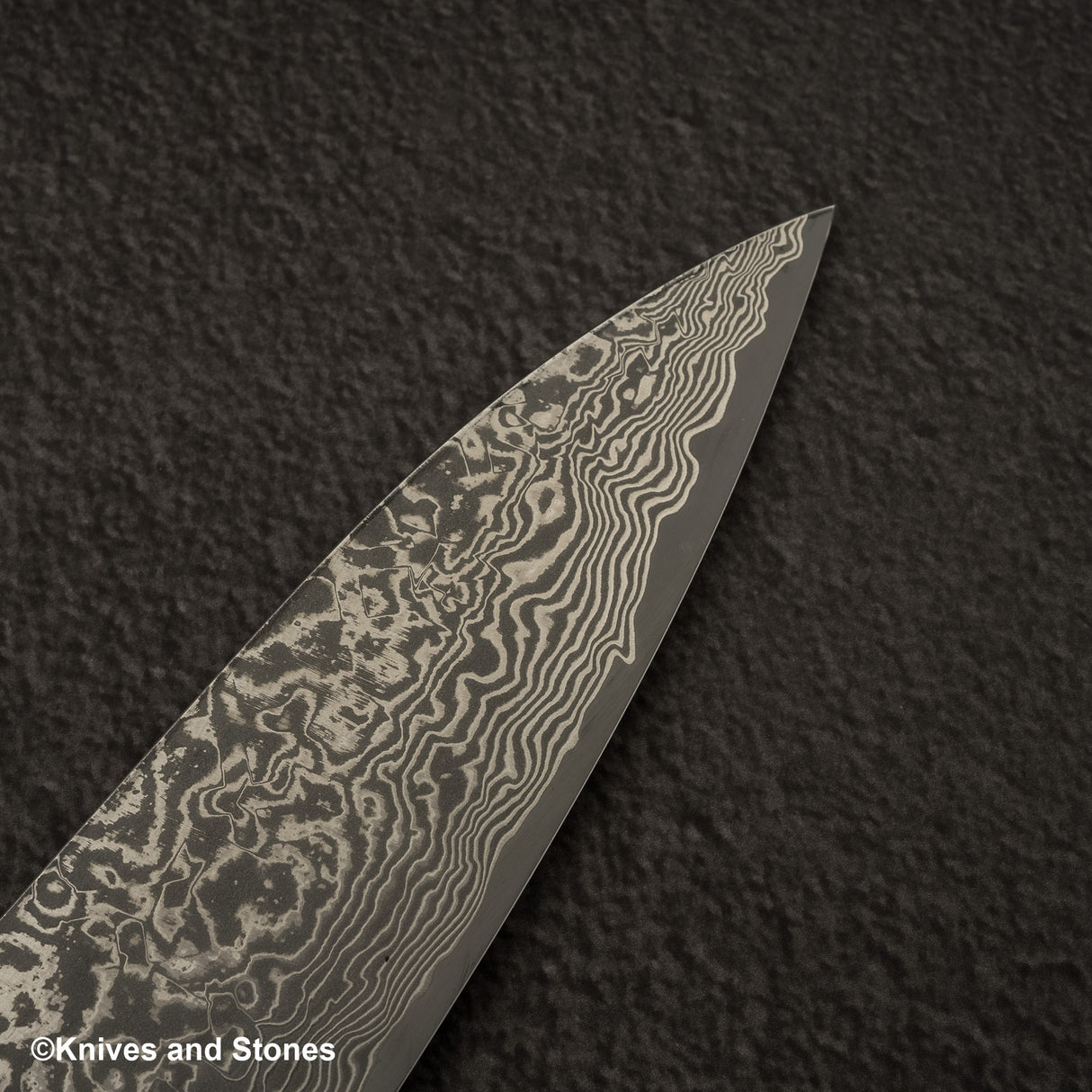 Takeshi Saji SG2 黑色大馬士革牛刀 210 毫米鐵木